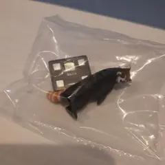 今日は何キロ レッサーパンダ