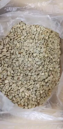 Item thumbnail for item bb17c5d7-897d-4e0d-b2fc-d32a63fc89c0