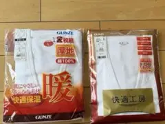 GUNZE Lサイズ 厚地下着 2枚セット