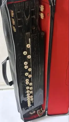 新品未使用】 大正琴 琴伝流 2台 ・中古品 2台 合計4台セット - メルカリ