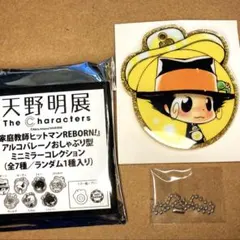 天野明展　アルコバレーノ　おしゃぶり型　ミニミラー　リボーン