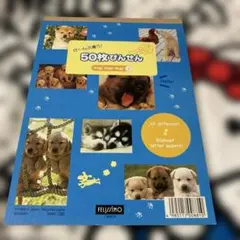 Item thumbnail for item 795a0a03-728b-4ff1-815d-02a79cb1dd0d