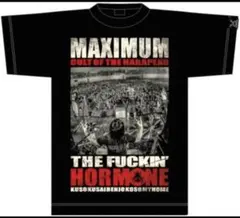 Item thumbnail for item 62b50ae4-17b1-4022-97d2-2ee7f2b7194c