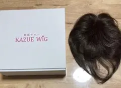 KAZUEWIG カズエウィッグ ポイントウィッグ マロンブラウン