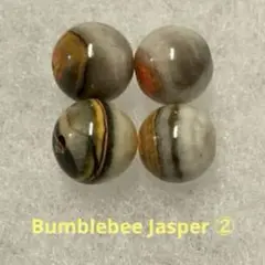バンブルビージャスパー ②