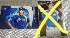 大谷翔平 2014 ハイライトフォト 球団公式 写真 日本ハム