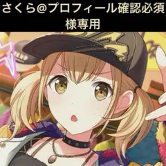 さくら@プロフィール確認必須　様専用ページ
