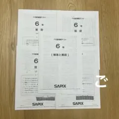 2026年最新】サピックステストの人気アイテム - メルカリ