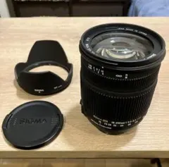 万能ズームレンズ◆SONY DT 18-135mm SAM◆高速AF◆便利な1本 万能ズームレンズ◇SONY DT 18-135mm SAM◇高速AF◇便利な1本 - メルカリ