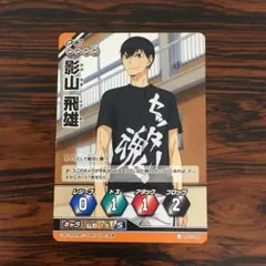 3601 ノーマルバボ 影山 飛雄 ハイキューバボカ ハイキュー