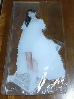 Item thumbnail for item 22c5728b-8448-4bc4-9946-e1796a94d85d