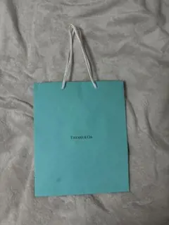 TIFFANY & Co. ショッパー ティファニー