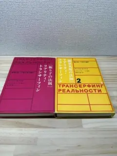 2025年最新】リアリティ・トランサーフィンの人気アイテム