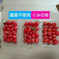 2026年最新】ぐみの実の人気アイテム - メルカリ