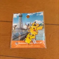 ポケモンセンター名古屋限定 ピカチュウ キーホルダー