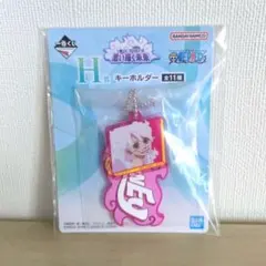 ワンピース一番くじ ヒナ キーホルダー H賞