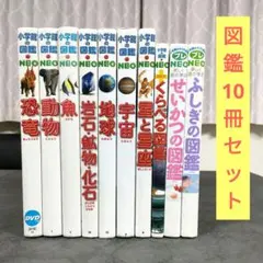 ☆ 小学館の図鑑NEO 10冊 セット 児童書 まとめ売り
