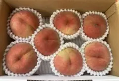 山形県産 減農薬栽培 桃 「なつおとめ」ご家庭用 7玉9