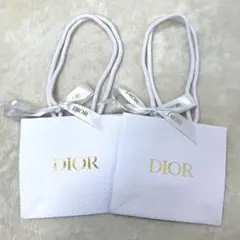 Dior　ディオール　ショッパー　プレゼントに用　2枚セット　【新品未使用】