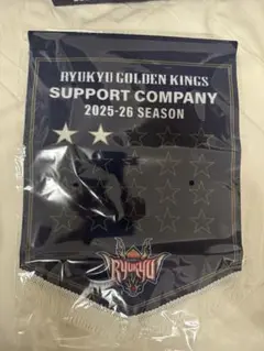 RYUKYU GOLDEN KINGS フラッグ 2025-26シーズン