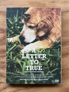 Item thumbnail for item 78aa1b9b-643e-436a-ba5c-d6e5c5e2e9e0