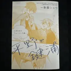 2026年最新】平野と鍵浦 小冊子の人気アイテム - メルカリ