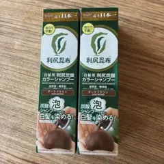 8797⑥利尻昆布 白髪用 利尻炭酸カラーシャンプー ダークブラウン 2本
