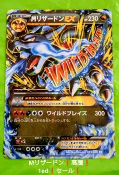 2026年最新】ワイルドブレイズの人気アイテム - メルカリ