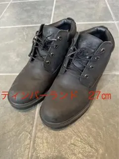 Item thumbnail for item 939e198c-386c-4bff-b566-b26b4a41f767