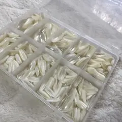 大量　ロングバレリーナ　ケース付きネイルチップ セット