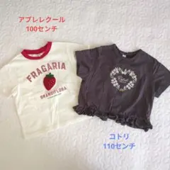 コトリ アプレレクール Tシャツ 2枚セット