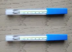 2026年最新】水銀体温計の人気アイテム - メルカリ