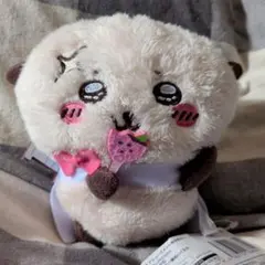 2025年最新】ちいかわ ラッコと一緒ぬいぐるみの人気アイテム - メルカリ