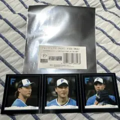 フォトチップス(NEXT) 山﨑福也