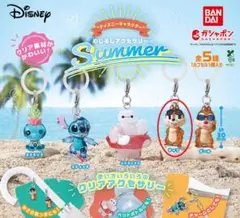 ディズニー Summer めじるしアクセサリー チップ