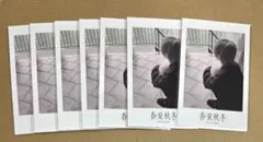 after the rain AtR 春夏秋冬 チェキ①
