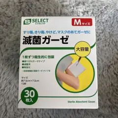 Item thumbnail for item 8aa3262a-915d-495d-9f7e-b4225885fd92