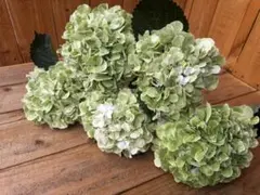 Rino様 リクエスト 2点 まとめ商品