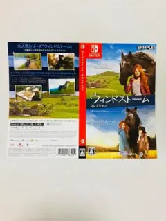 非売品 ダミージャケット ウィンドストーム ザ・コレクション 販促 Switch