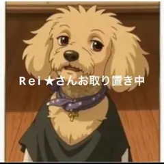 Rｅi ★さんご専用