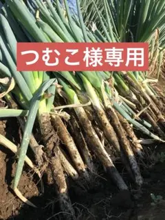 つむこ様専用