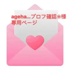 ageha...プロフ確認❀様専用ページ大人の図鑑シール文房具編