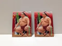 Item thumbnail for item af12770f-1594-4934-8cd7-fb602776e659