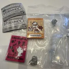 サンリオキャラクターズ プロフィール帳 コロコロクリリン チャーミーキティ