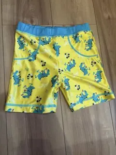 恐竜柄の水着（男の子用）　120