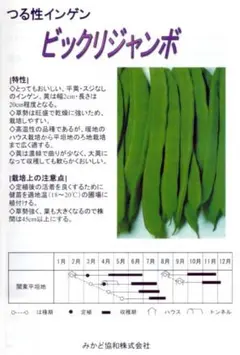 たいちゃん様 リクエスト 5点 まとめ商品