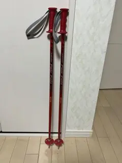 SINANO Pair Pole スキー ストック レッド75cm