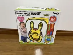 ロディ 大型遊具