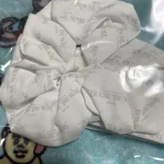 ＆teamアプグレ特典BLAZE THE WAY ロゴ入り シュシュ