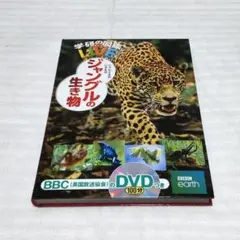 Item thumbnail for item 03d9d6c3-5b2d-4ab6-a5fe-ebeefaecf3c8